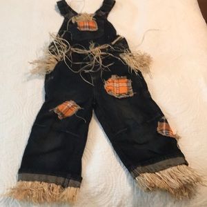 Toddler Boy 2T Oshkosh Jean Scarecrow Costume